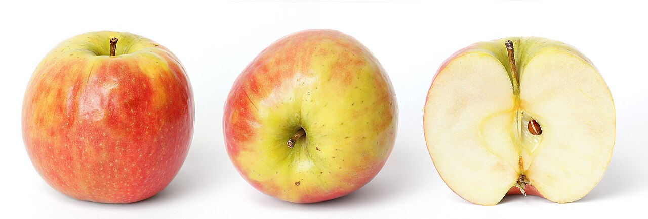 iPhone price increase: Is it the worst decision by Apple?